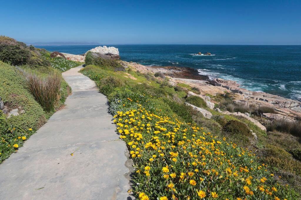 Mountain And Sea Cottage Hermanus Exteriör bild